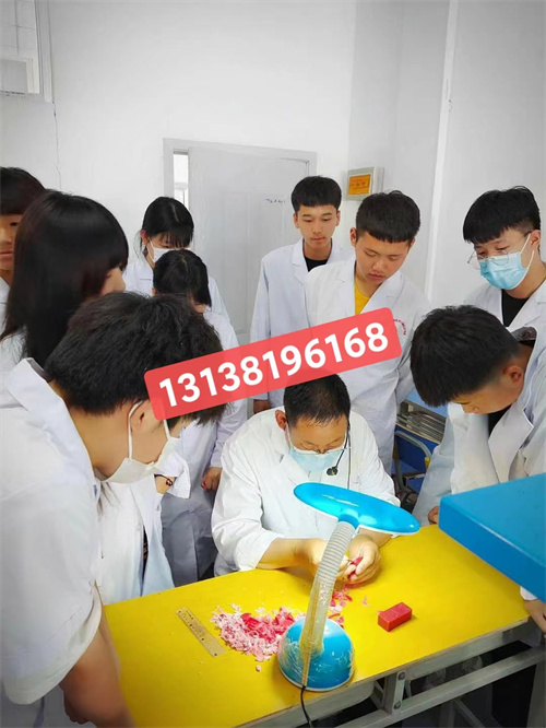 石家莊白求恩醫(yī)學院升學對口高考和單招有什么區(qū)別？