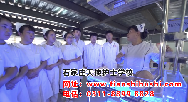 QQ圖片20190118173532副本.png QQ圖片20190118173532副本.png