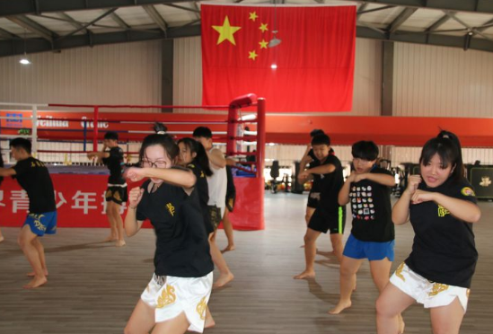 石家莊開設體育專業(yè)、武術專業(yè)的學校
