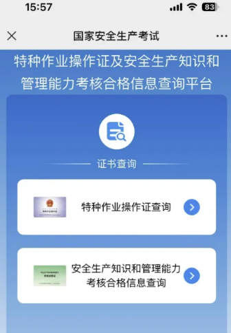 國(guó)家應(yīng)急管理局電工證查詢?nèi)肟诠倬W(wǎng)查詢系統(tǒng)（2026年）